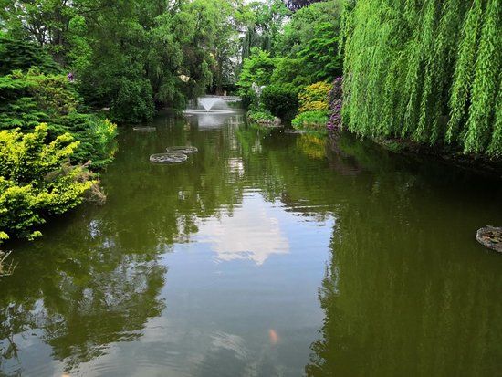 Ogród Botaniczny Uniwersytetu Wrocławskiego
